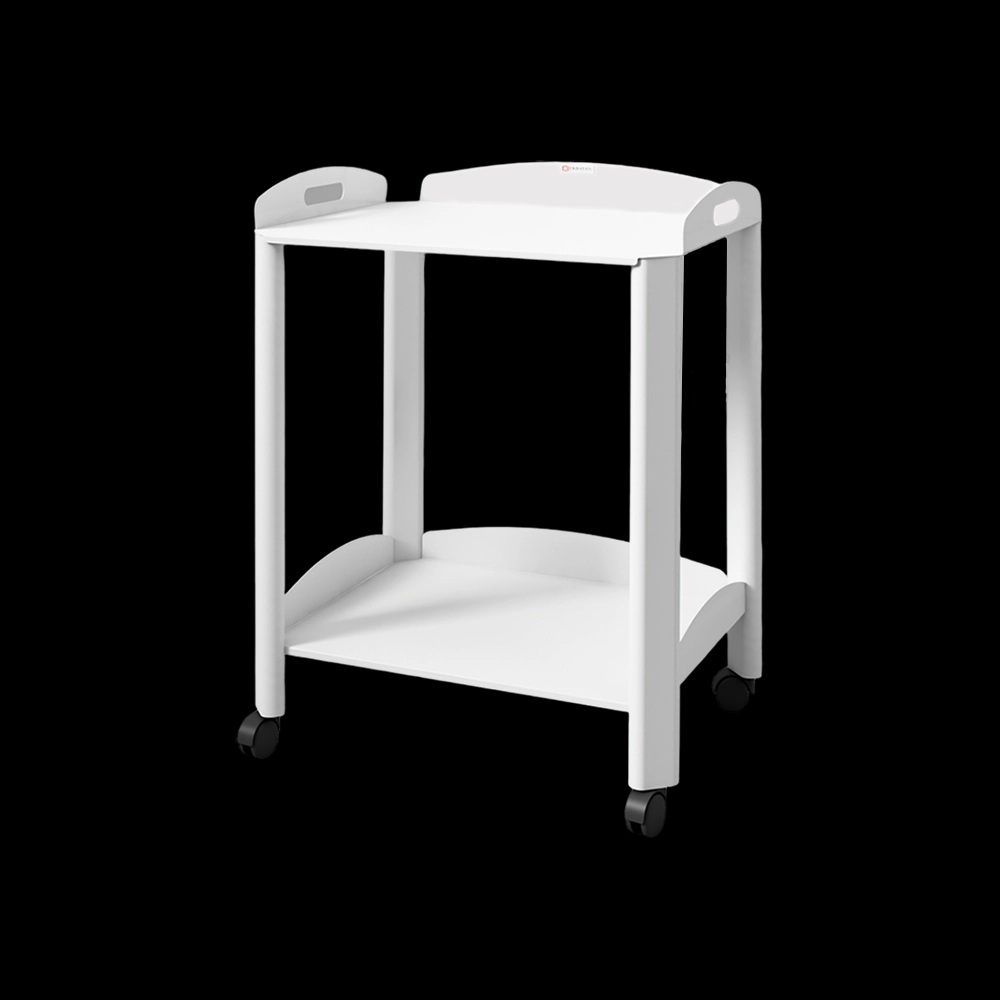 ترالی 2 طبقه فلزی مدل TR-404